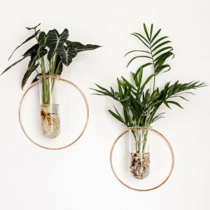 Round Bottom Glass Vases for Flowers