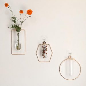 Square outline Round buttom Glass Vases for Flowers